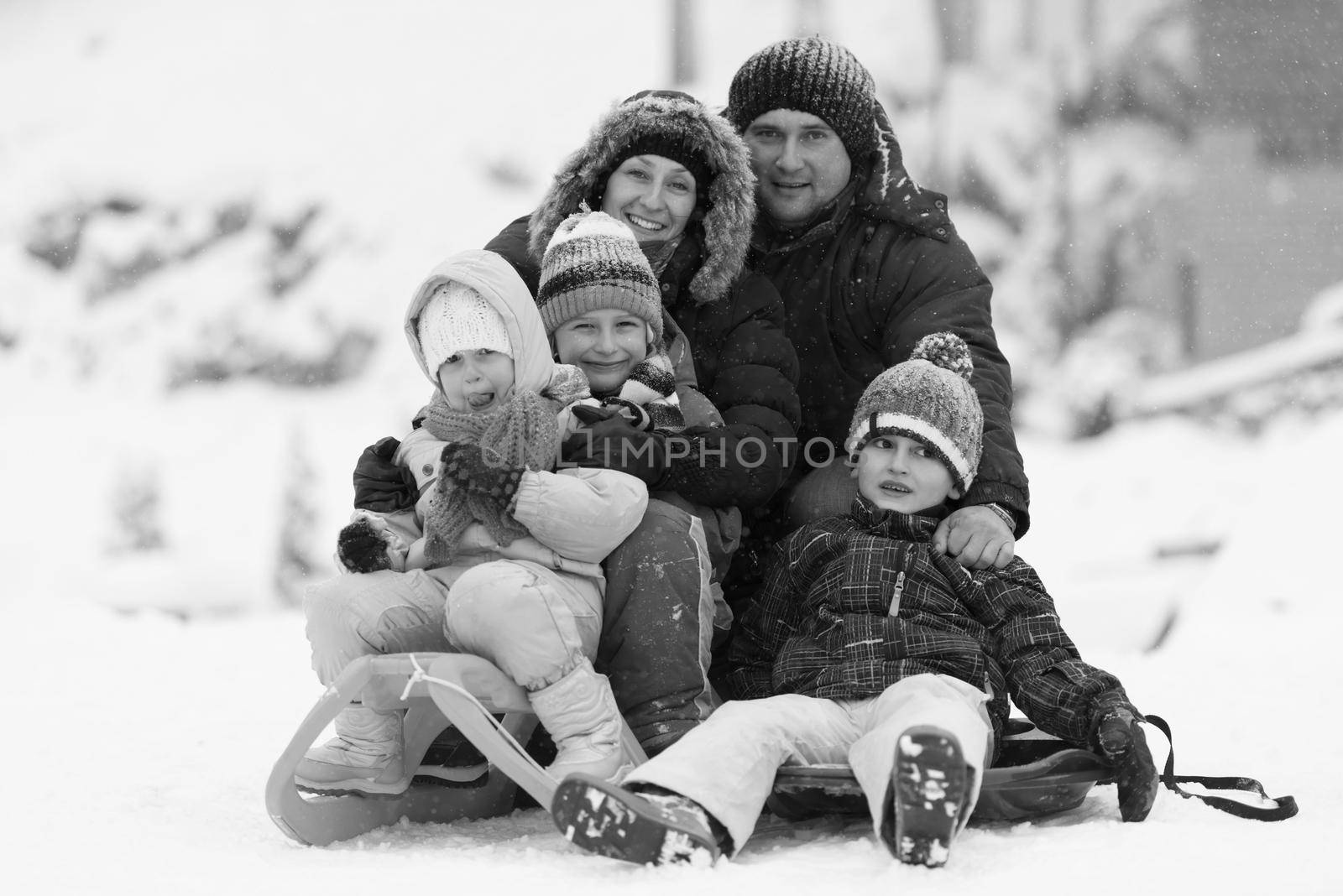 happy young family portrait on winter vacation while sitting sledge at  landscape with fresh falling snow