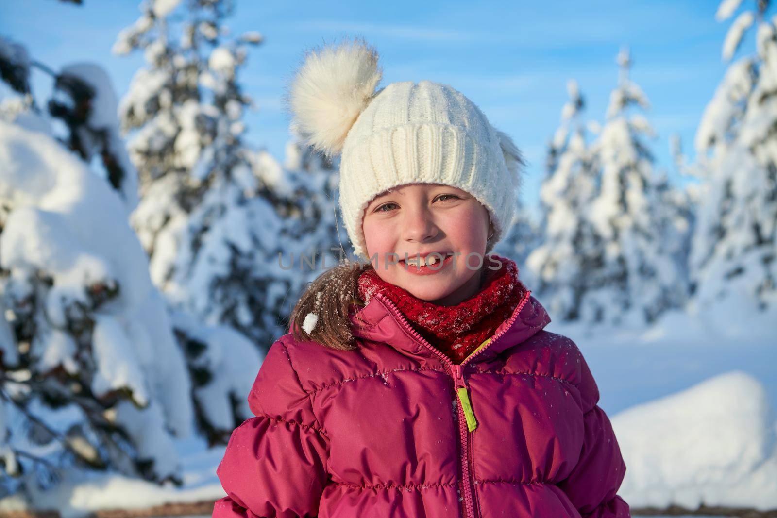 portrait of cute little girl   on beautiful winter day with fresh snow