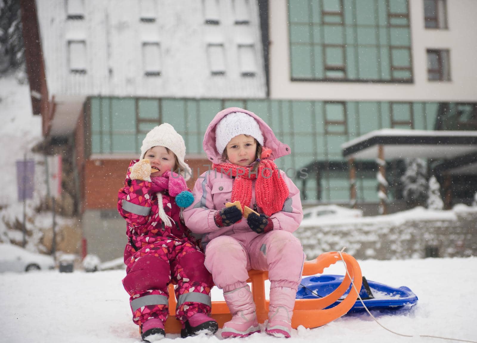 portrait of two little girls sitting together on sledges by dotshock