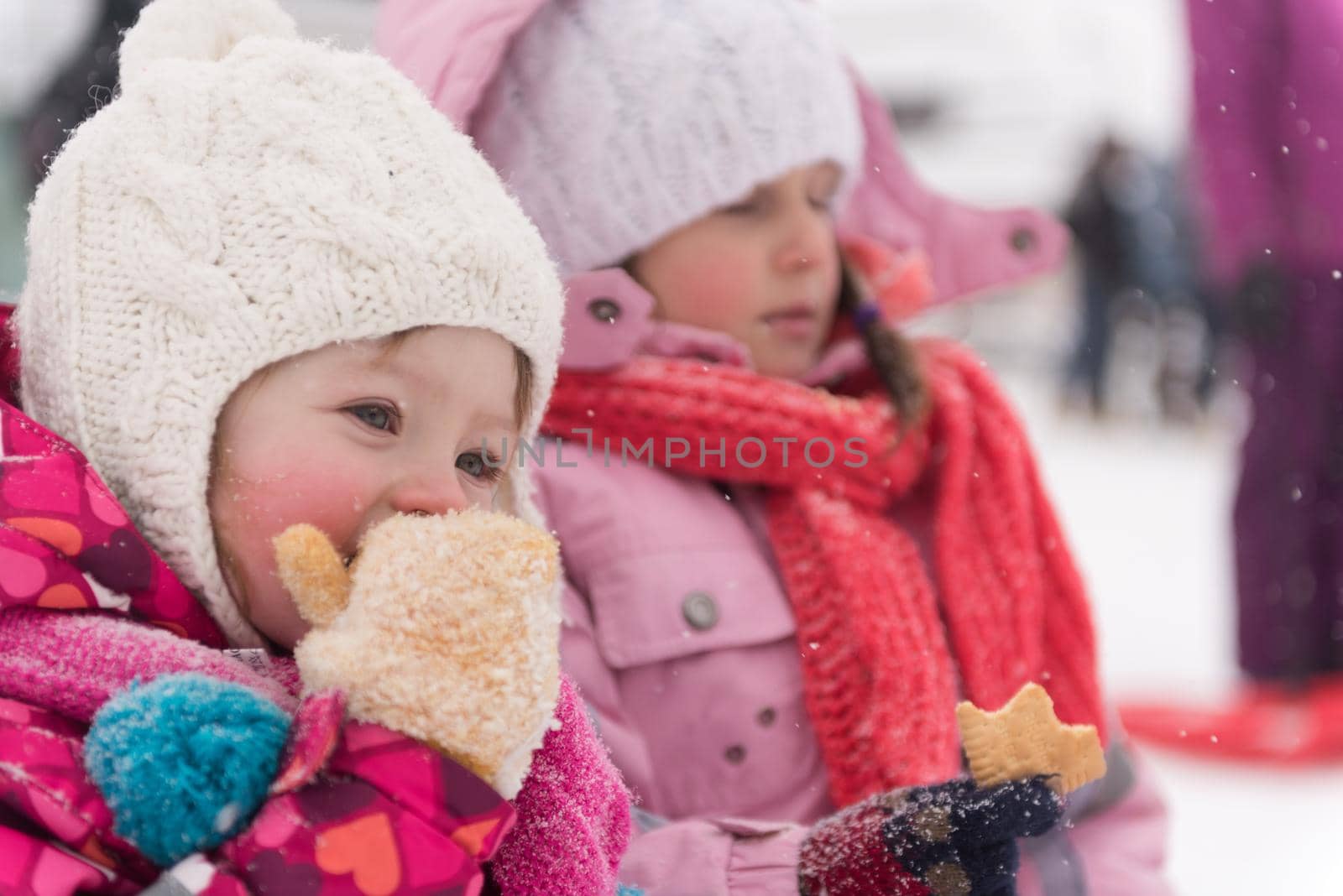 portrait of two little grils sitting together on sledges by dotshock