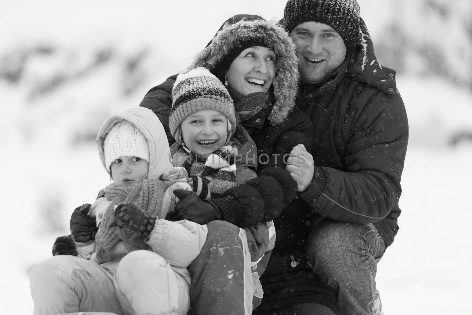 happy young family portrait on winter vacation while sitting sledge at  landscape with fresh falling snow