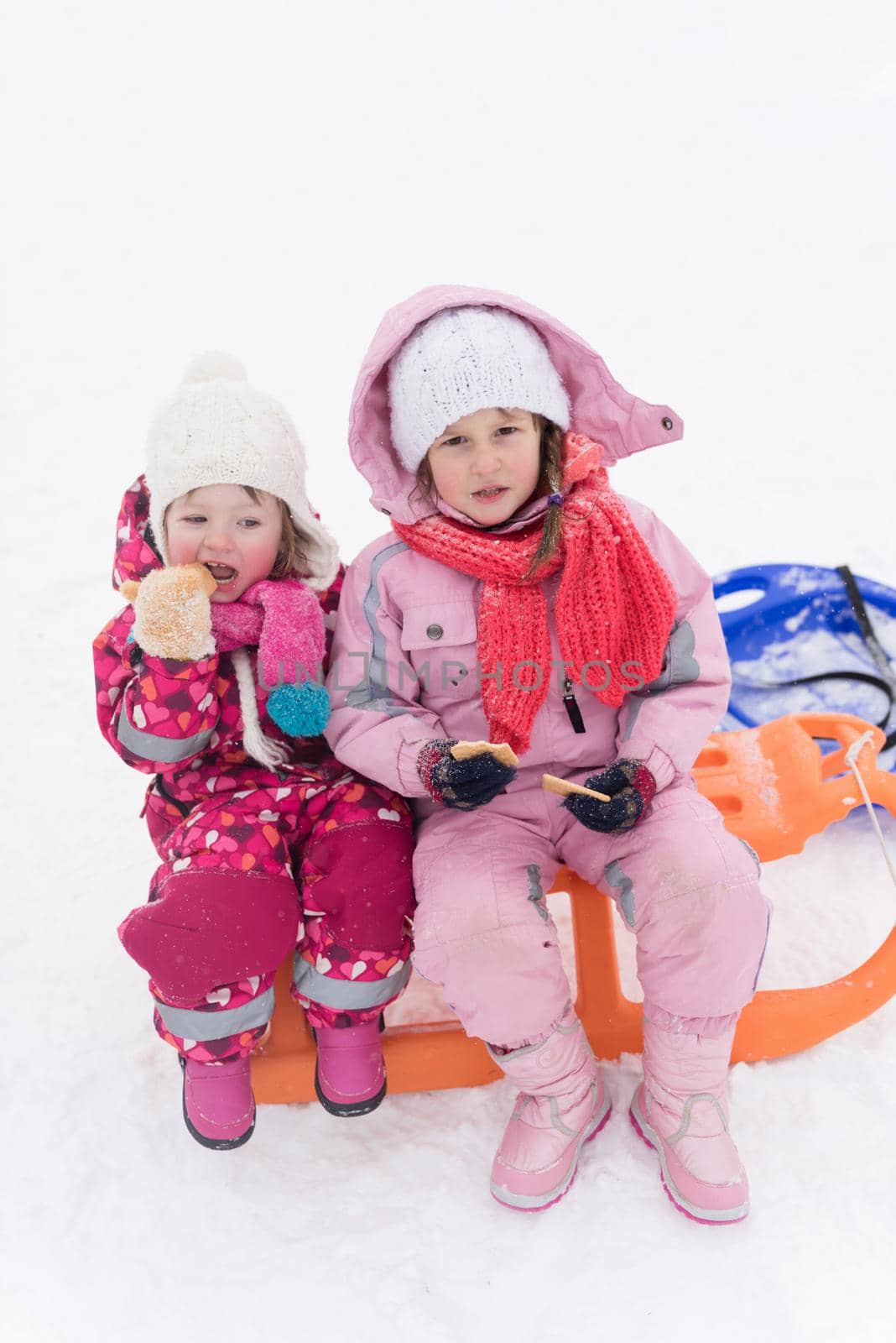 portrait of two cute little grils sitting together on sledges outdoors at snowy winter day, eating tasty cookies on break