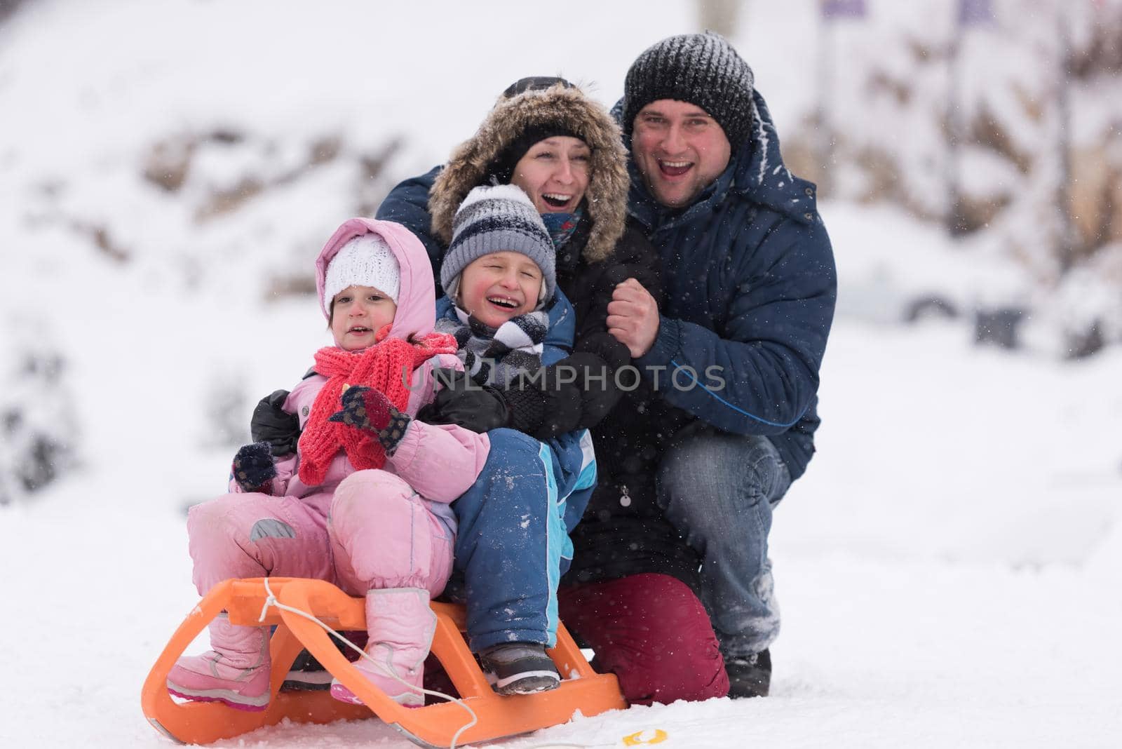 happy young family portrait on winter vacation while sitting sledge at  landscape with fresh falling snow