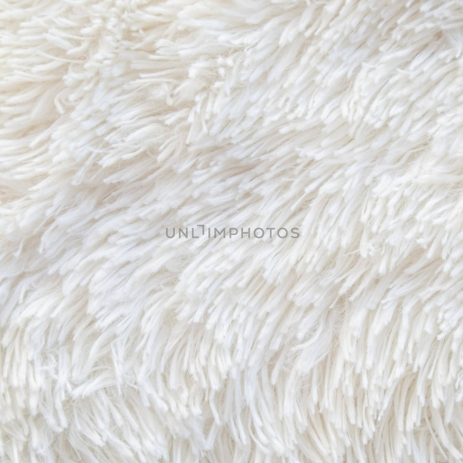 Long pile carpet texture. Abstract background of shaggy white fibers. High quality photo