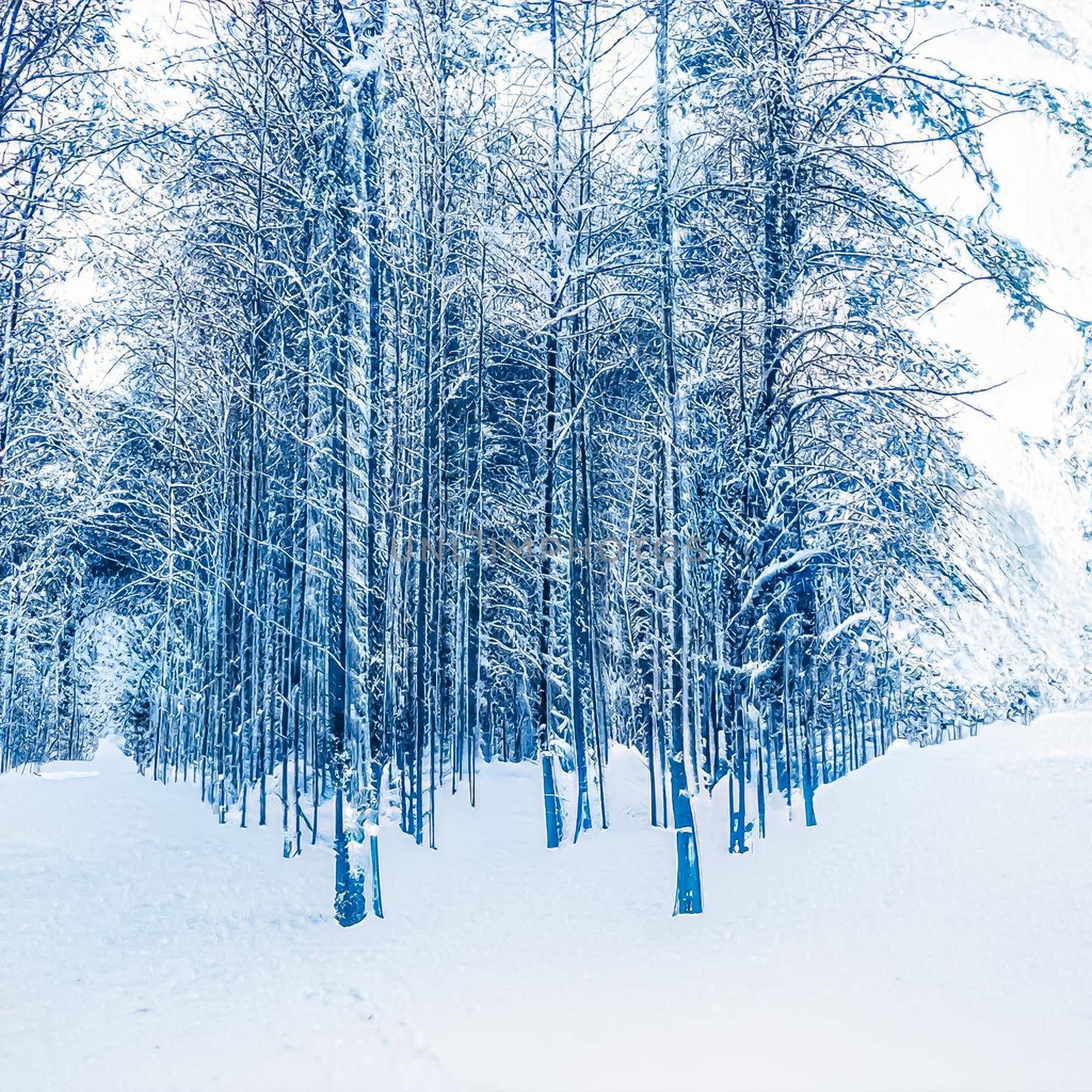 Winter wonderland and Christmas landscape. Snowy forest, trees covered with snow as holiday background.