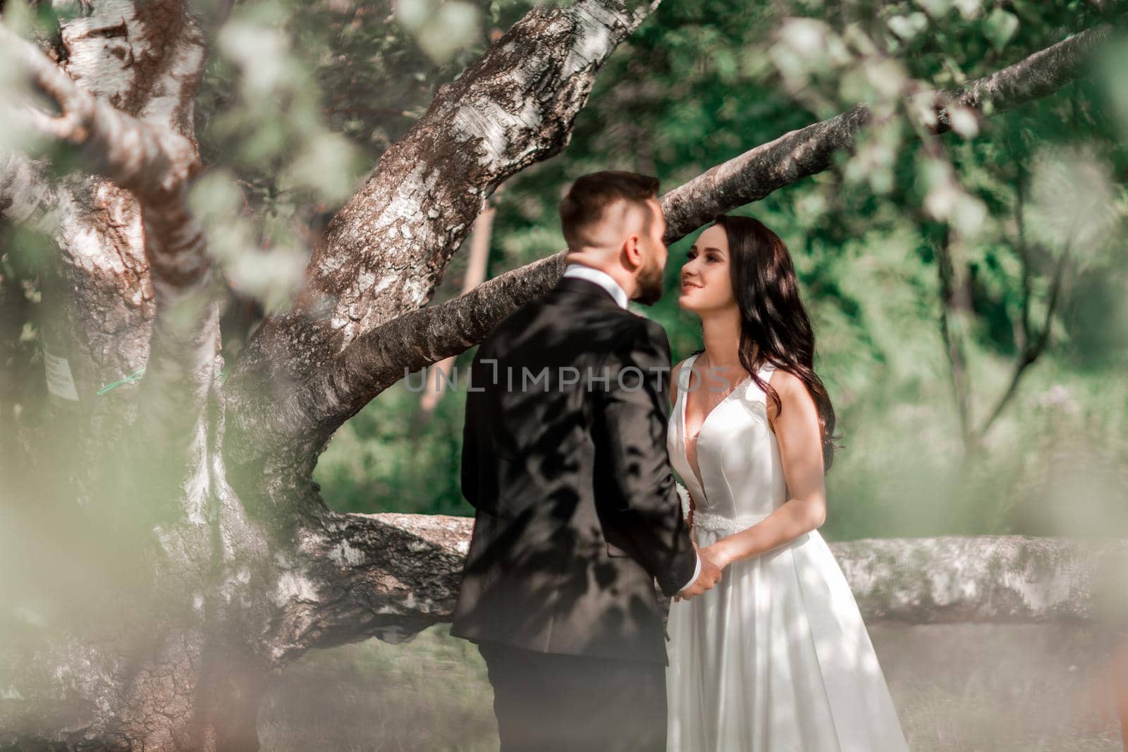 happy bride and groom standing near old big tree. holidays and events