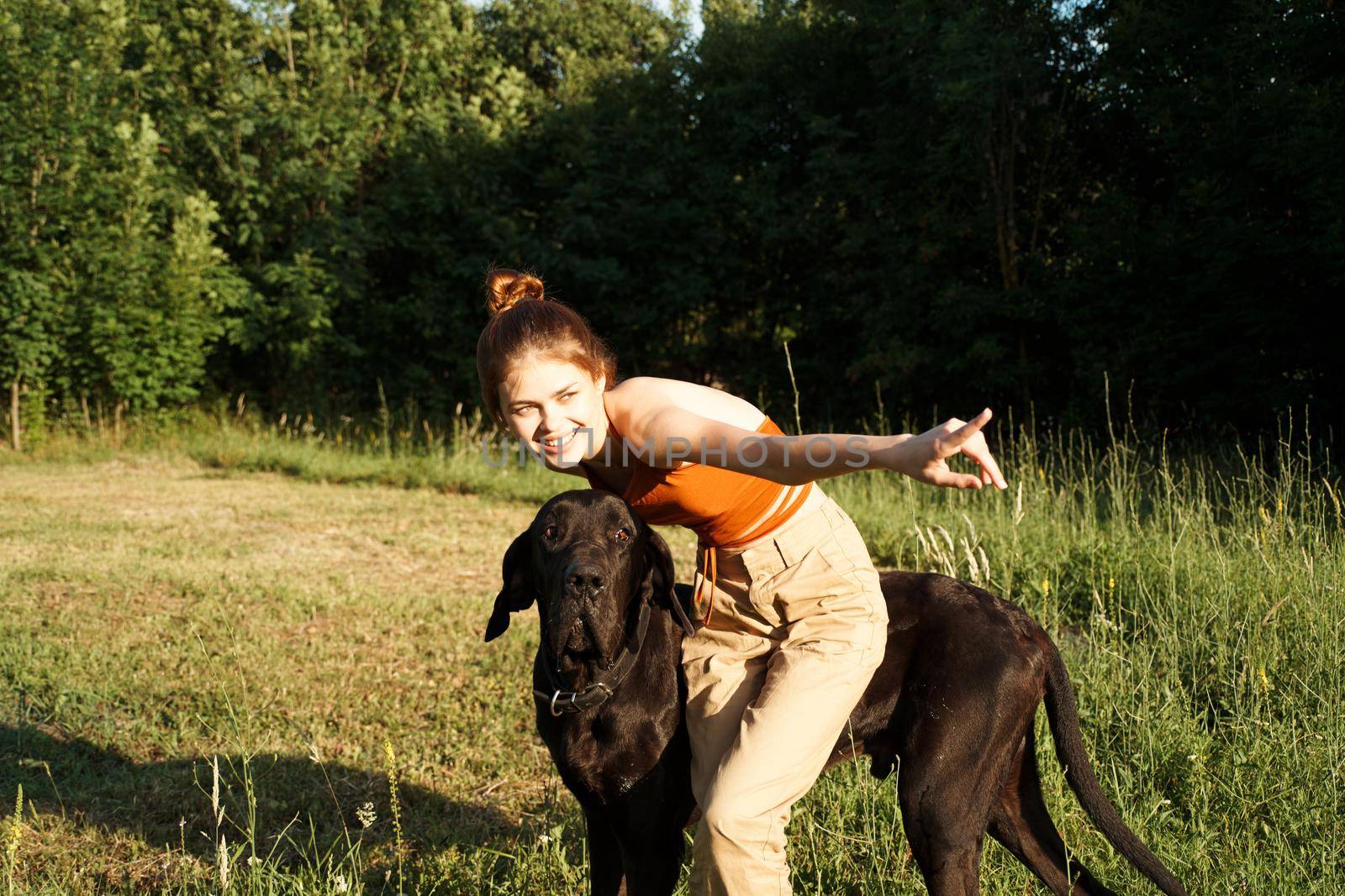 woman in the field in summer playing with a dog friendship. High quality photo