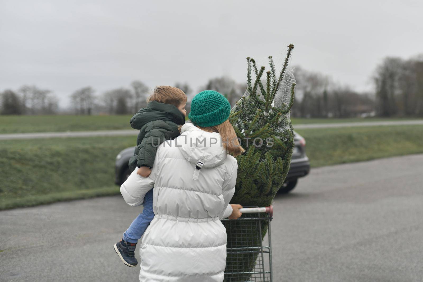 Mother bought a Christmas tree in the market by Godi