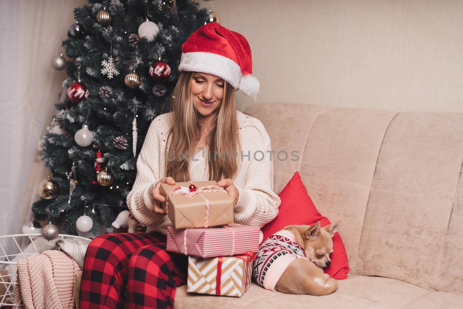 Woman in Santa hat wrapping Christmas gift boxes with puppy dog in sweater. Female sit and preparing presents on couch with decor and Christmas tree. Merry Christmas or New year DIY packing Concept.
