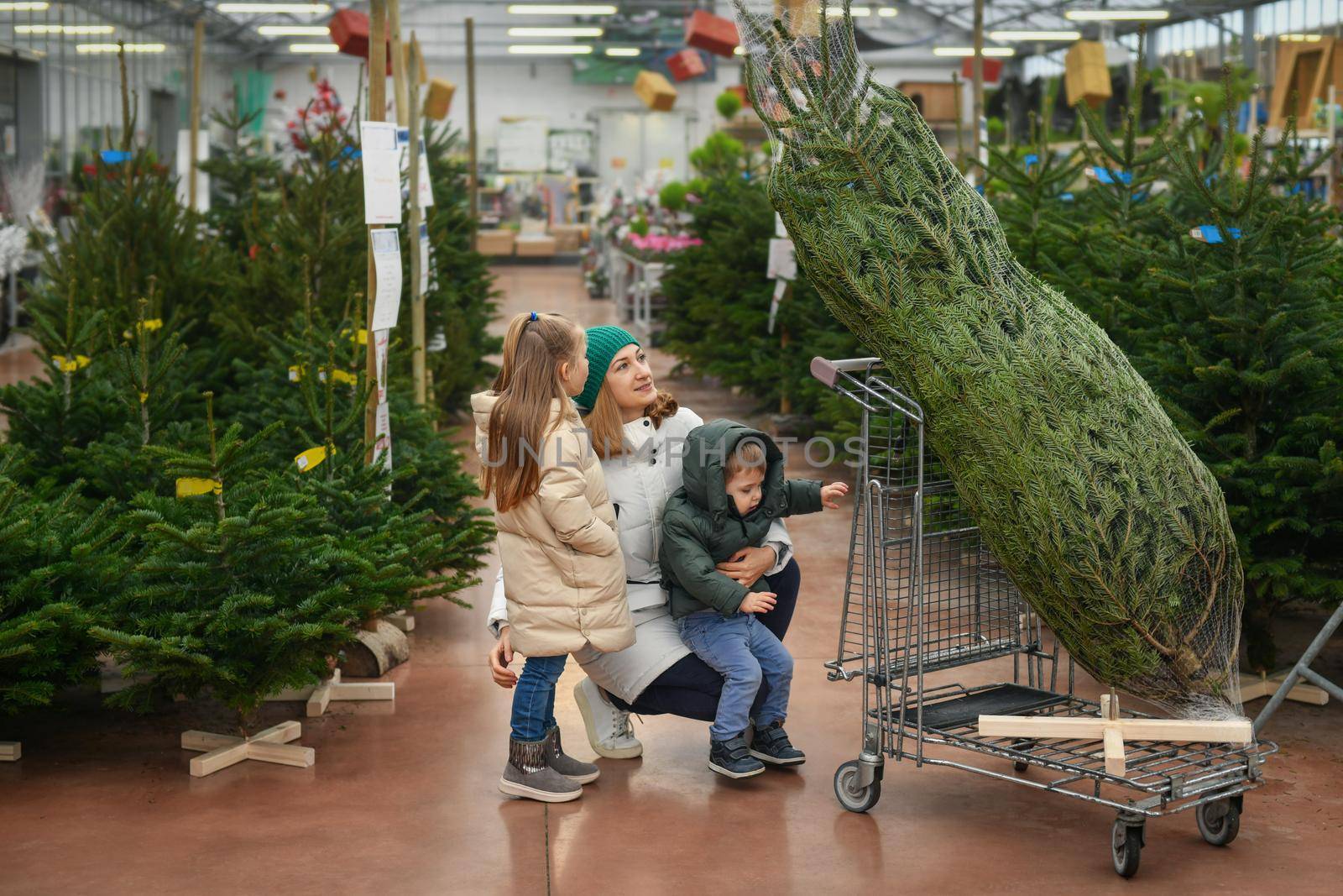 Mother and children choose a Christmas tree at a market. by Godi