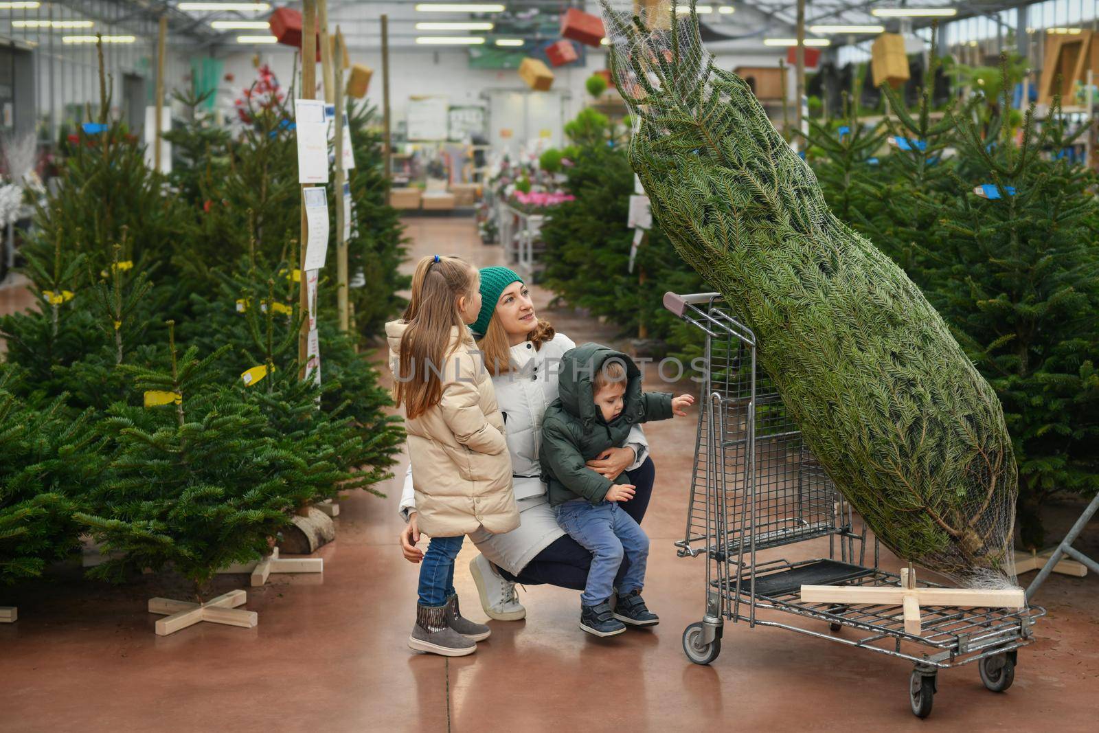 Mother and children choose a Christmas tree in the market.