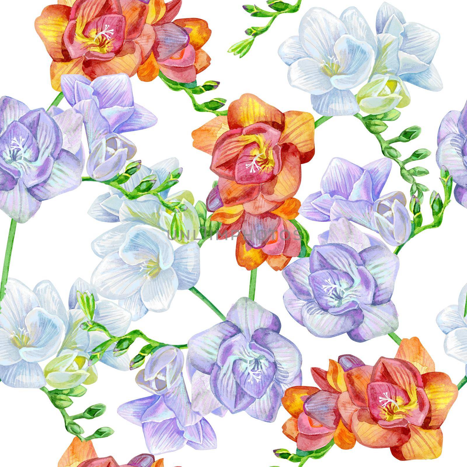 Floral seamless pattern with freesia on a white background. Artistic design for floral print for packaging, textile, wallpaper, gift wrap, greeting or wedding background.