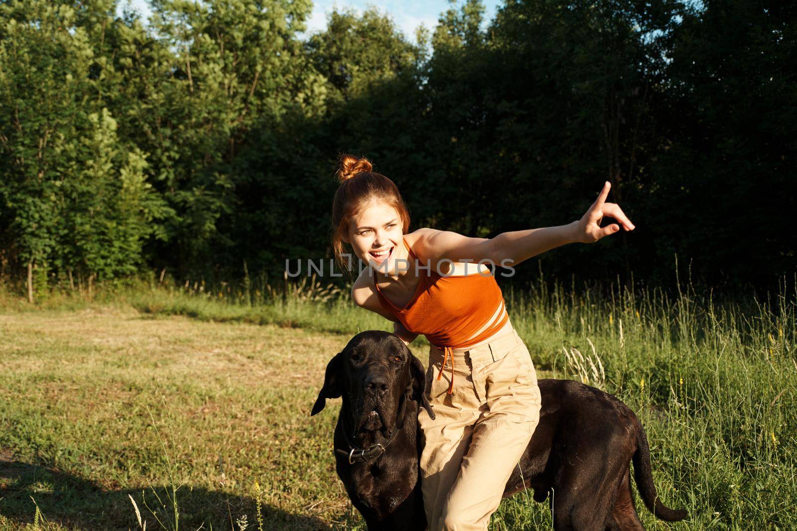 Cheerful Woman and a dog in the nature games Friendship. High quality photo