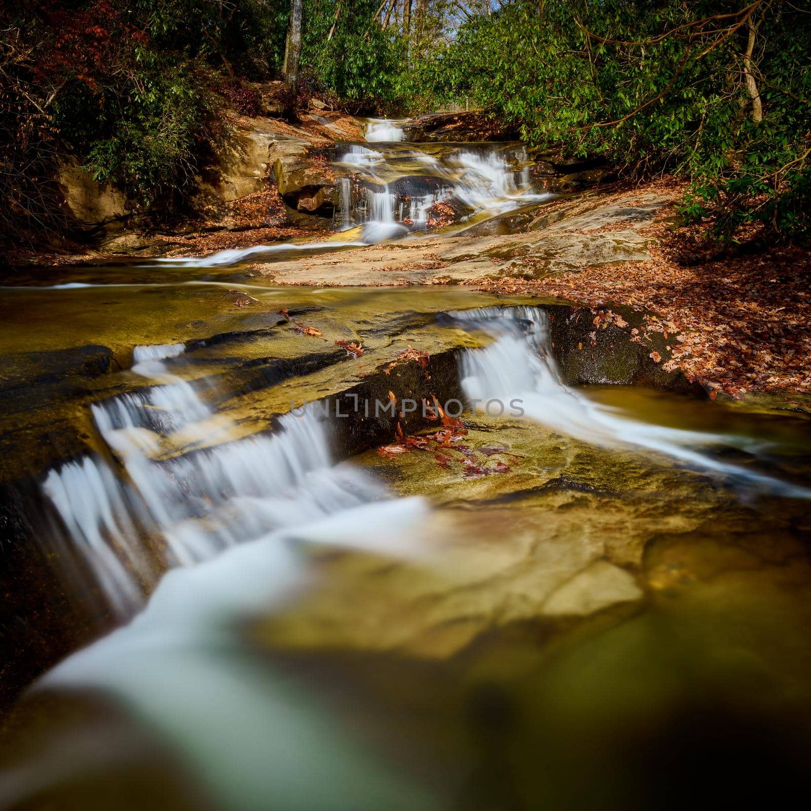 Small waterfall along Cove Creek in Brevard North Carolina, USA. by patrickstock