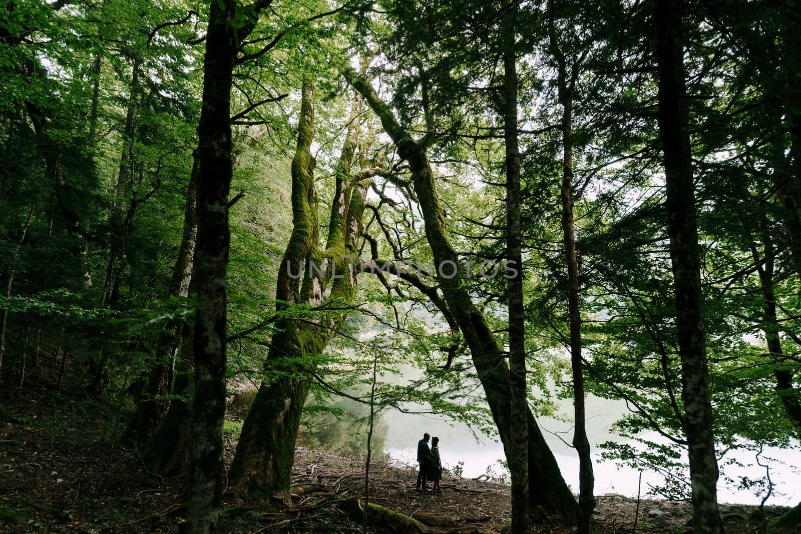 Woman and man stand on the shore of the lake among the green forest. High quality photo