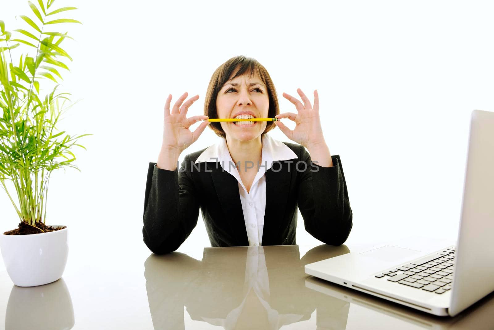 one young business woman isolated on white working on laptop computer