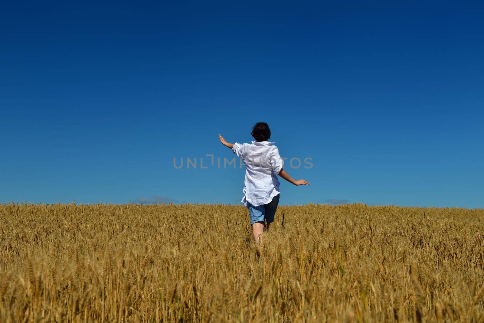 Young woman standing jumping and running  on a wheat field with blue sky in  background at summer day representing healthy life and agriculture concept