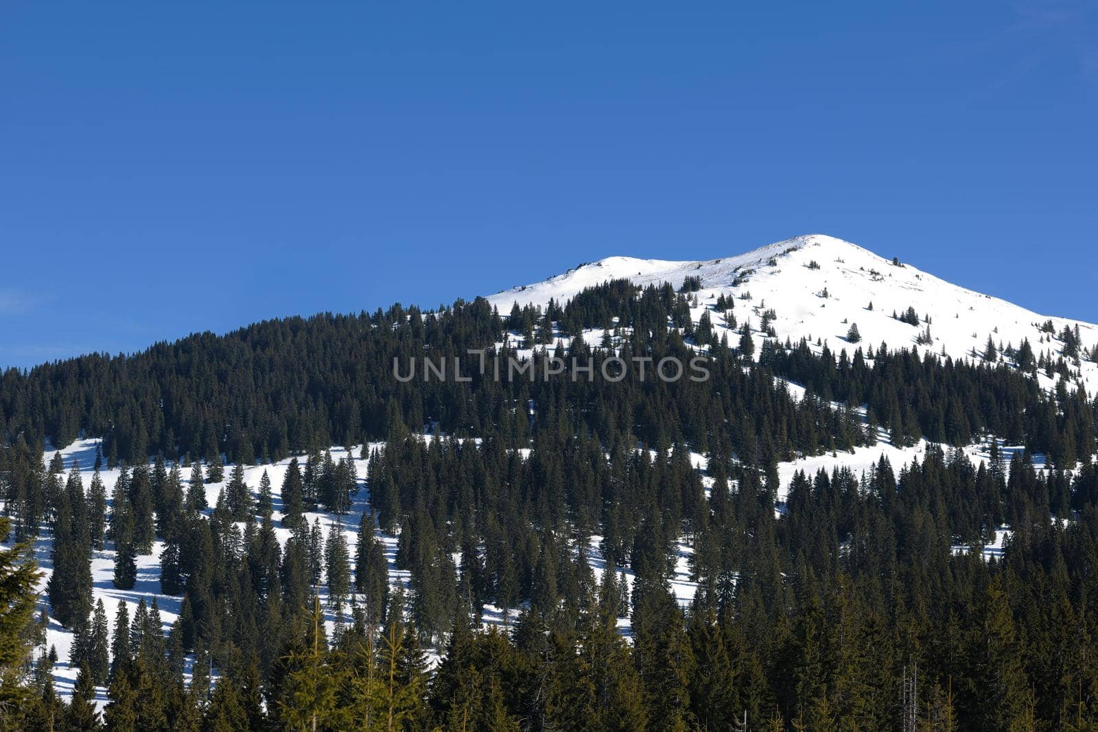 Winter mountains on a bright sunny day
