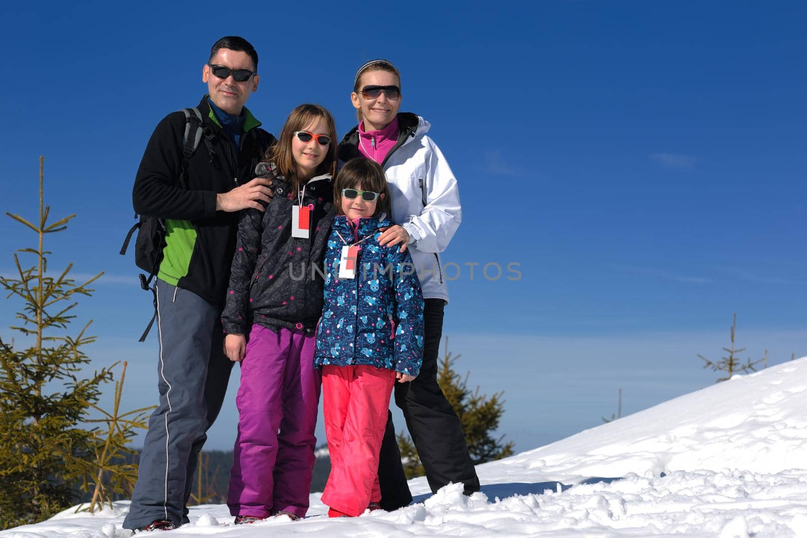portrait of happy young family at winter by dotshock