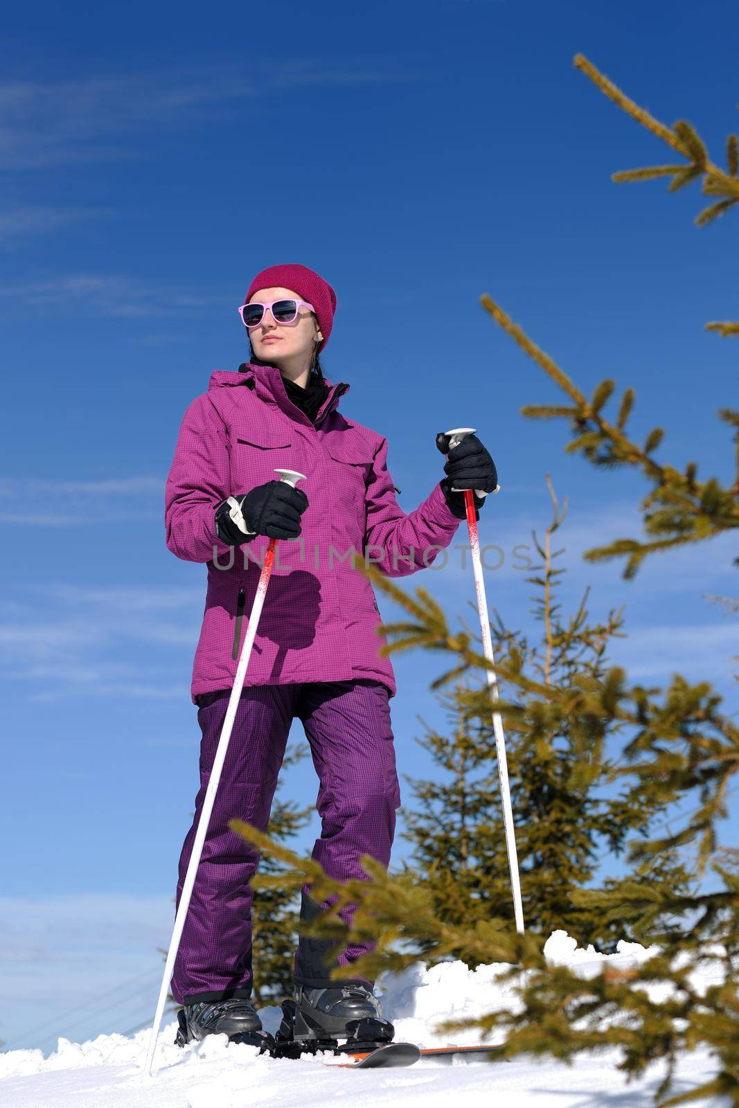 winter woman ski by dotshock