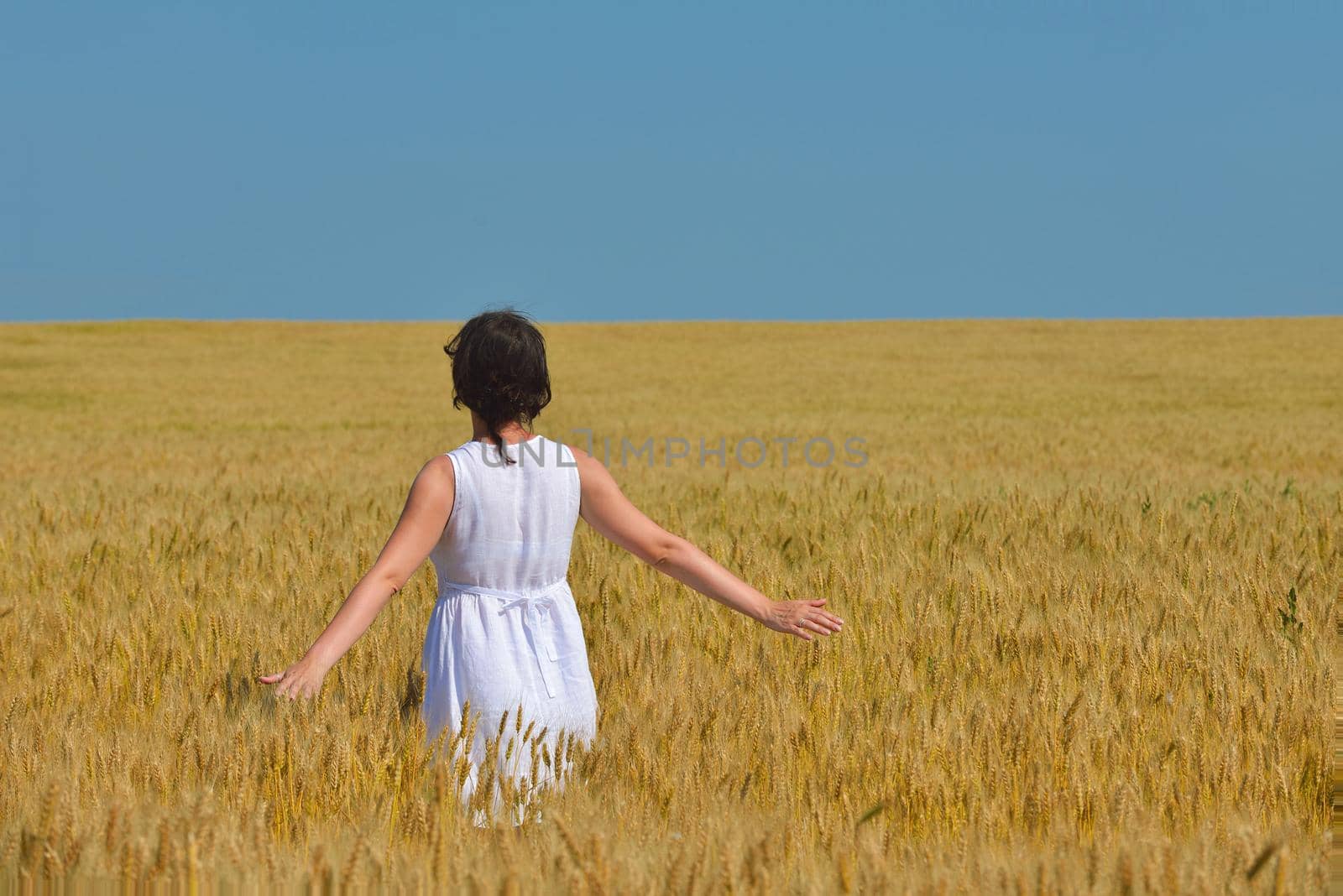 young woman in wheat field at summer by dotshock