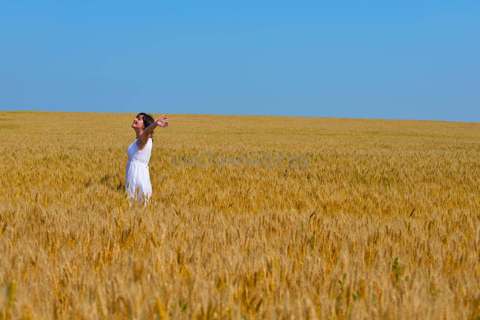 young woman in wheat field at summer by dotshock