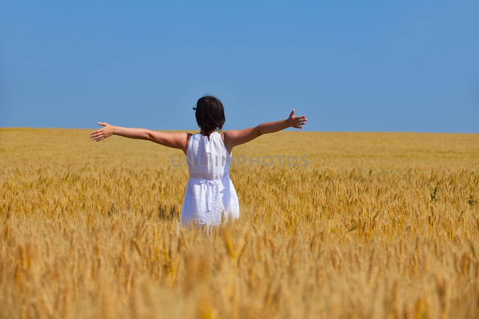 Young woman standing jumping and running  on a wheat field with blue sky the background at summer day representing healthy life and agriculture concept