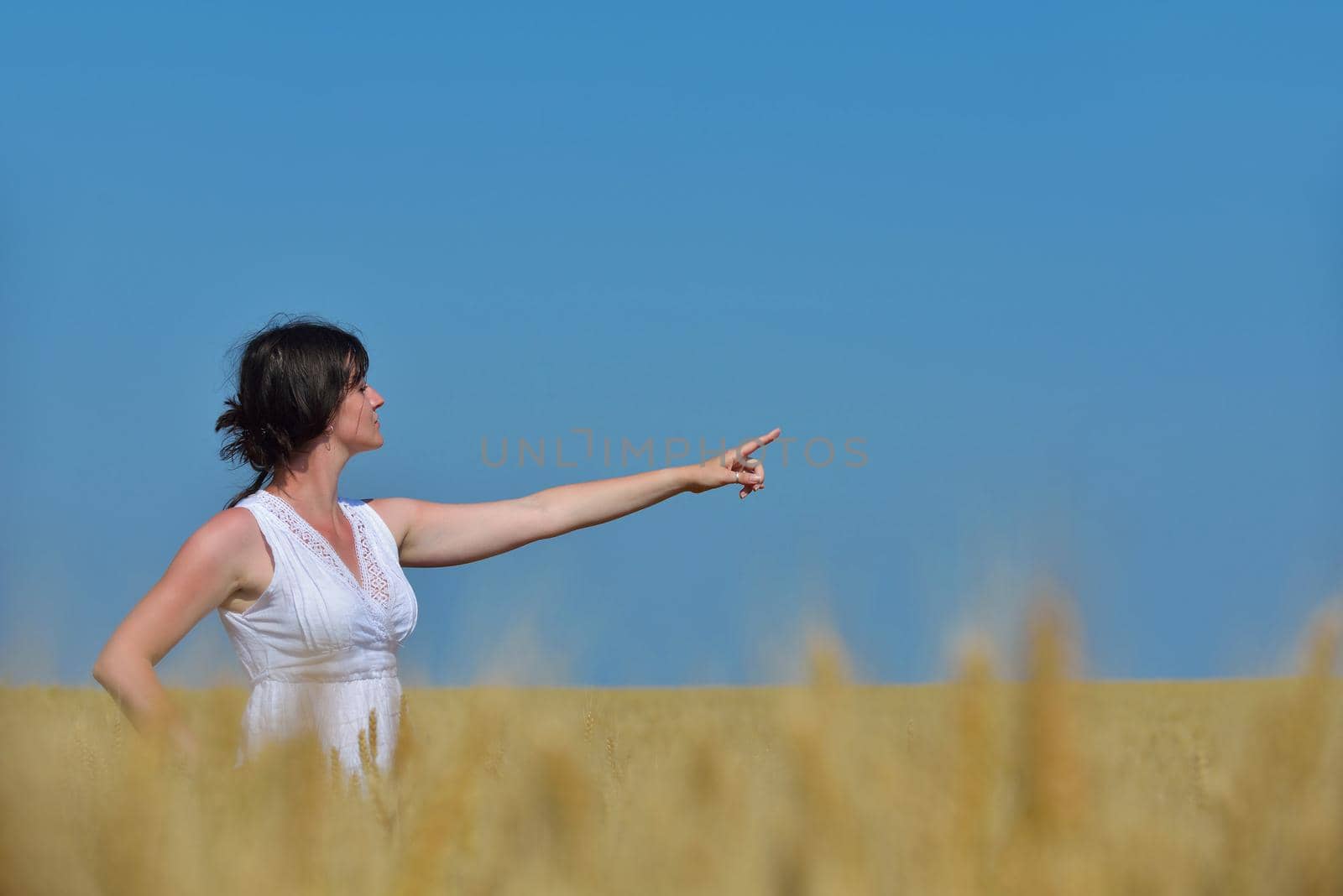 young woman in wheat field at summer by dotshock