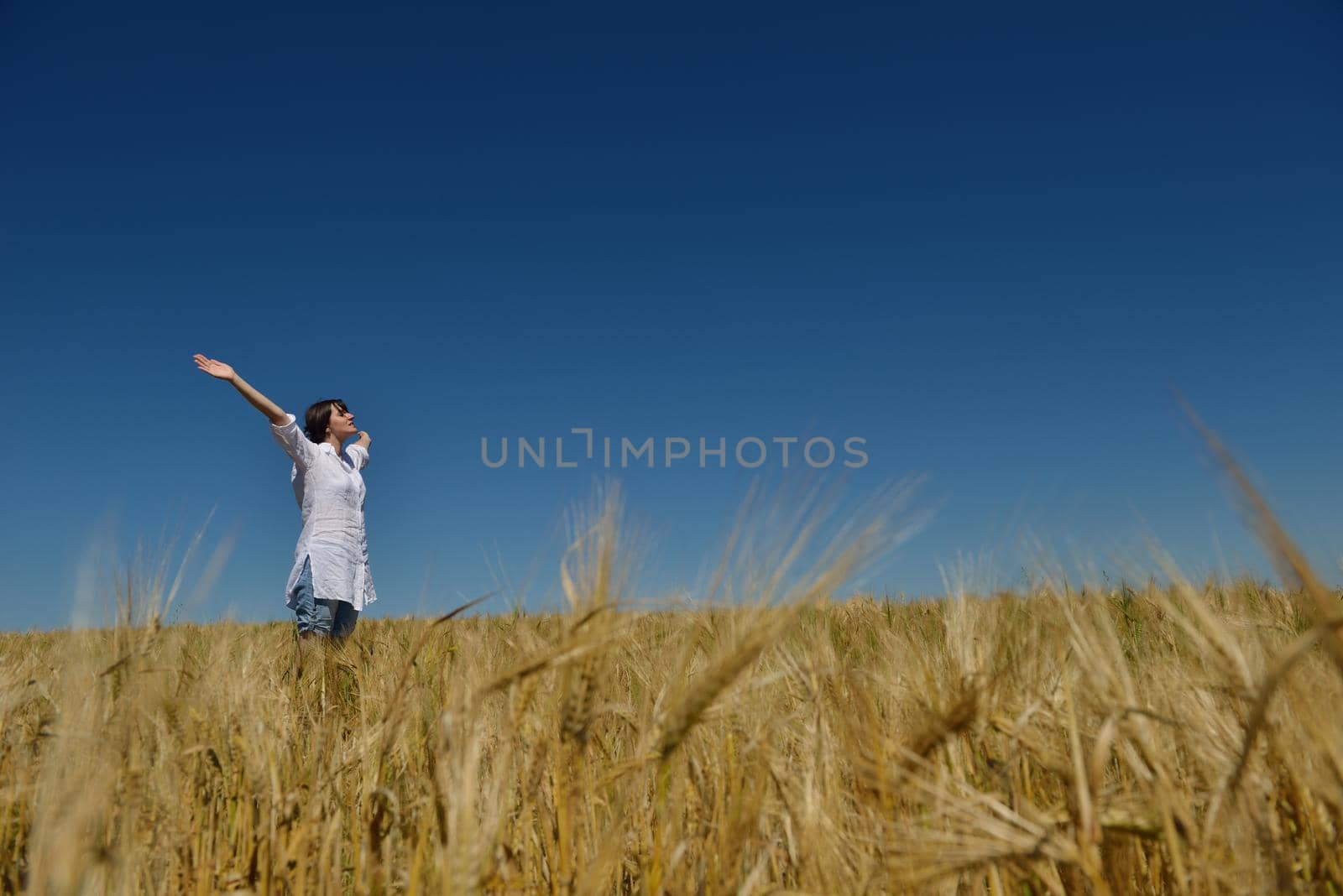 Young woman standing jumping and running  on a wheat field with blue sky in  background at summer day representing healthy life and agriculture concept