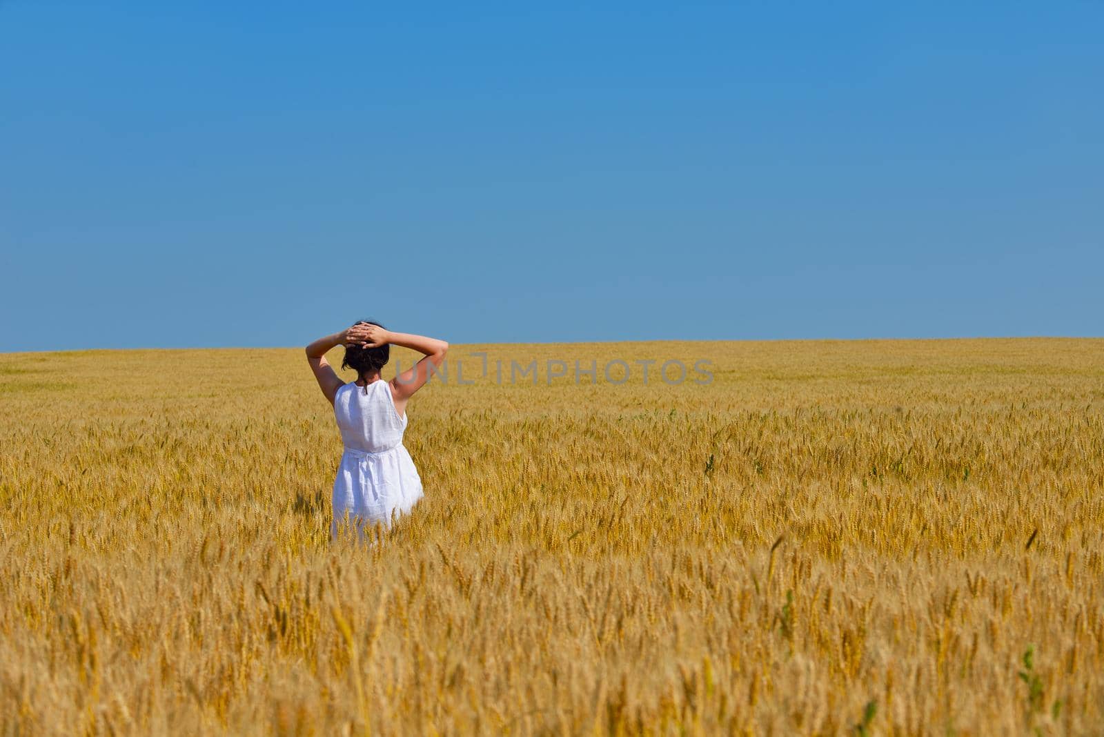 Young woman standing jumping and running  on a wheat field with blue sky the background at summer day representing healthy life and agriculture concept