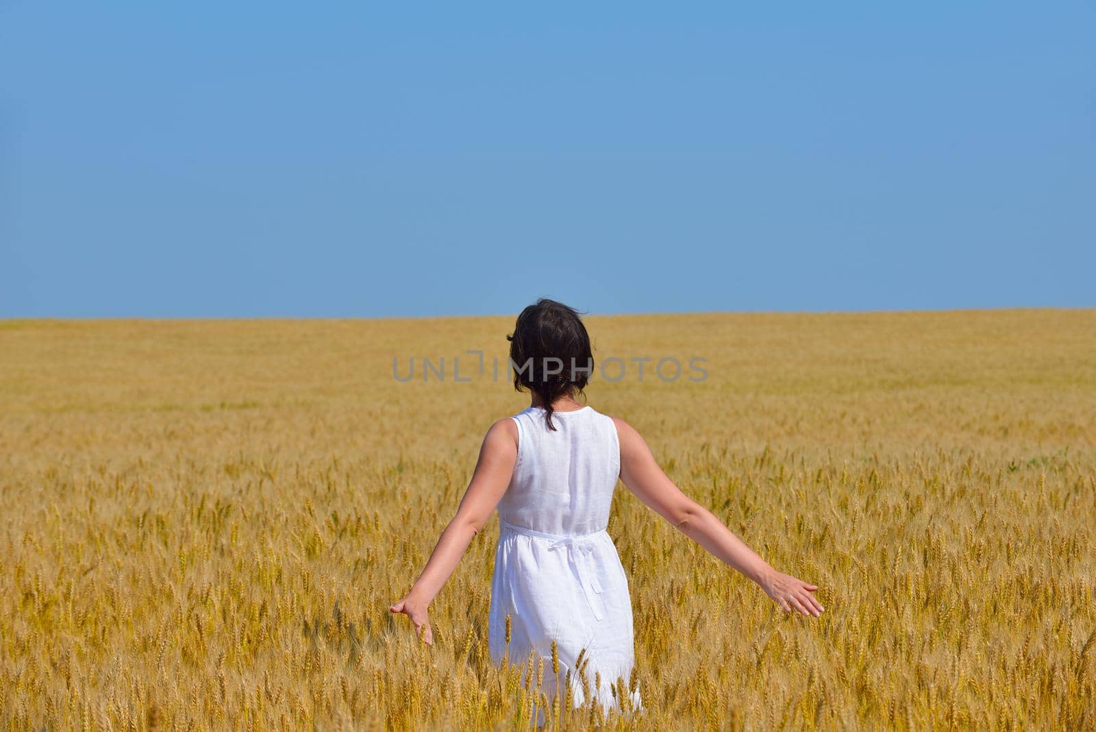 Young woman standing jumping and running  on a wheat field with blue sky the background at summer day representing healthy life and agriculture concept