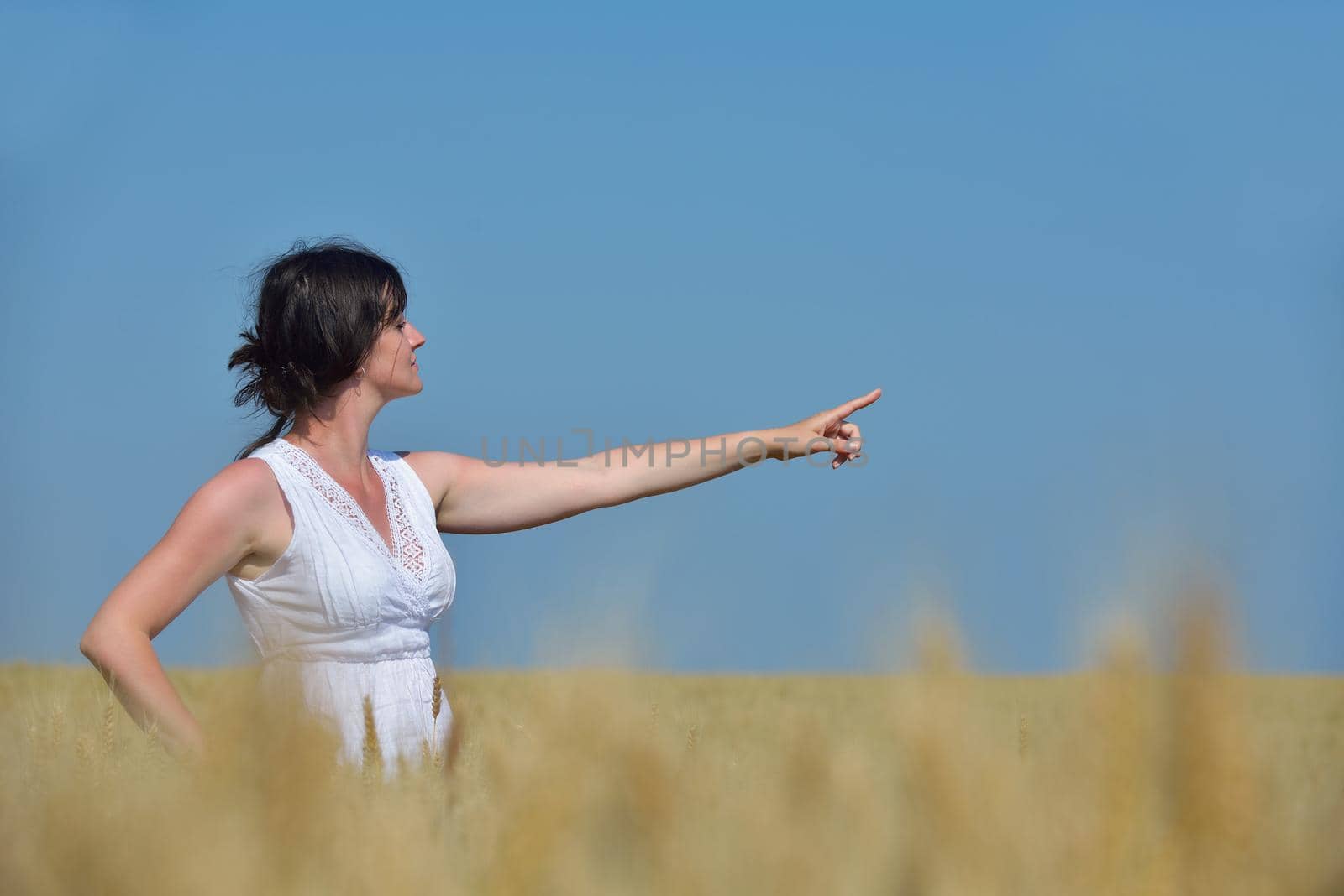 Young woman standing jumping and running  on a wheat field with blue sky the background at summer day representing healthy life and agriculture concept