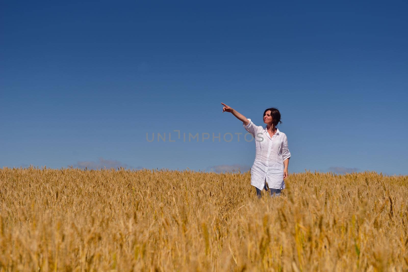 young woman in wheat field at summer by dotshock