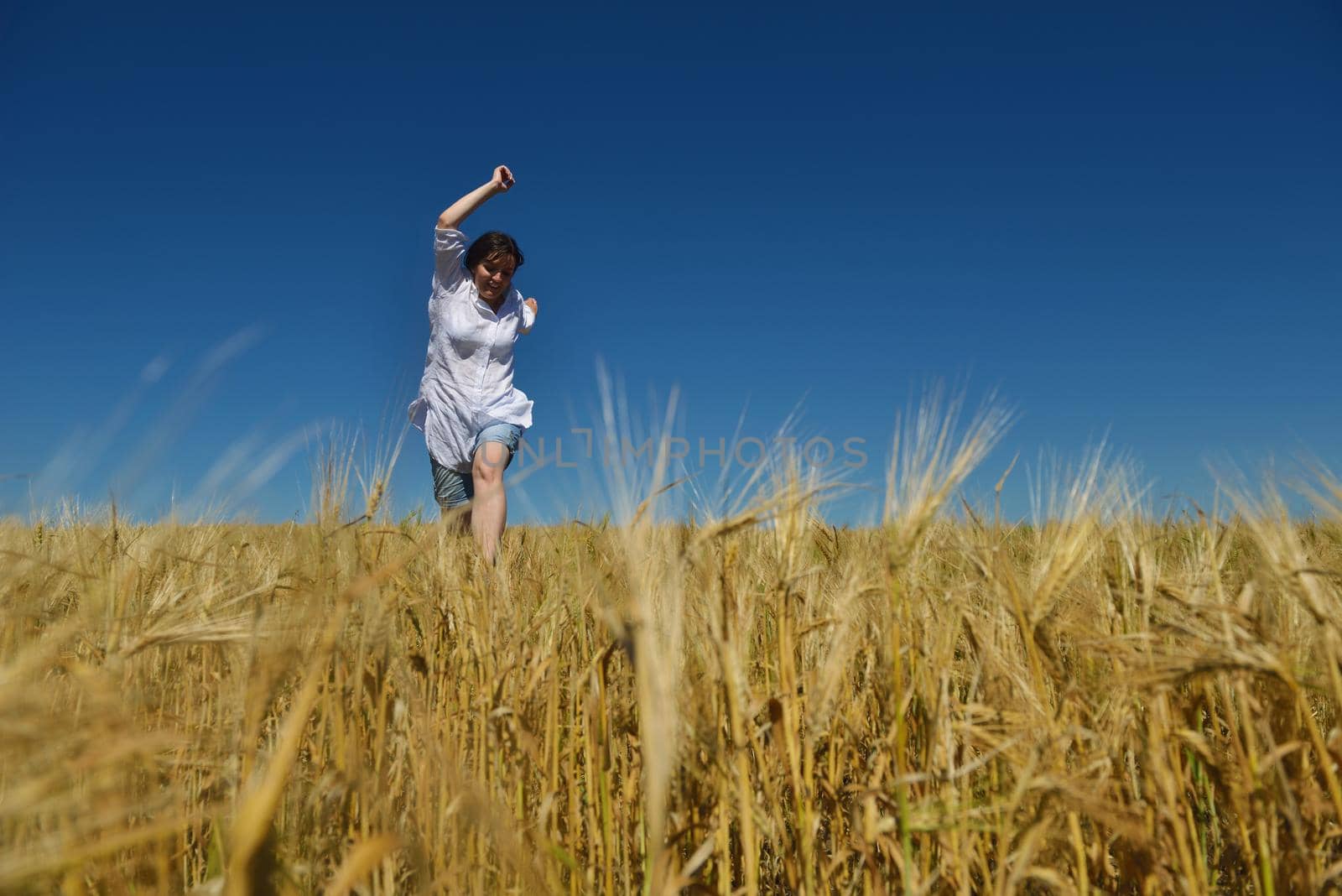 Young woman standing jumping and running  on a wheat field with blue sky in  background at summer day representing healthy life and agriculture concept