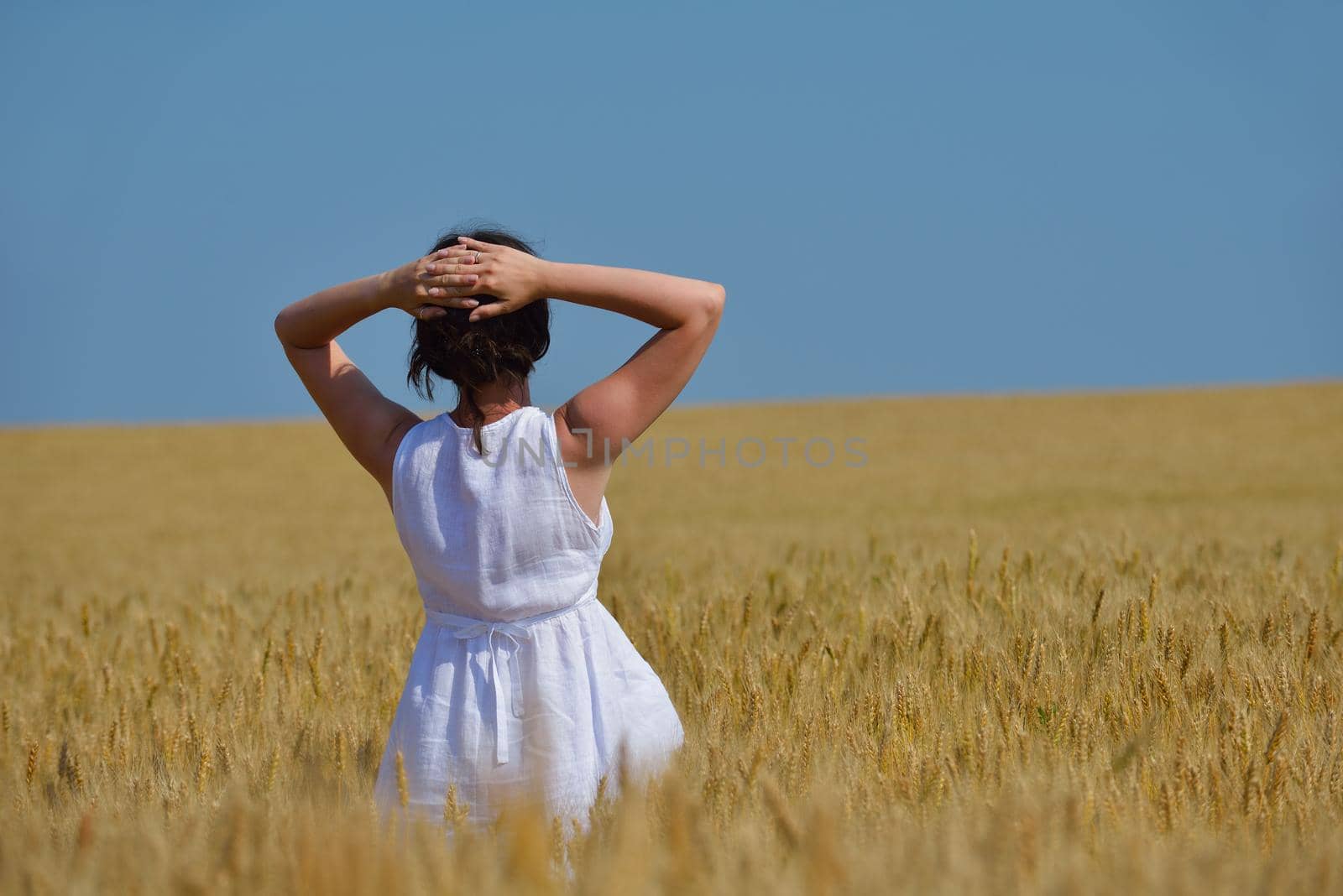 Young woman standing jumping and running  on a wheat field with blue sky the background at summer day representing healthy life and agriculture concept