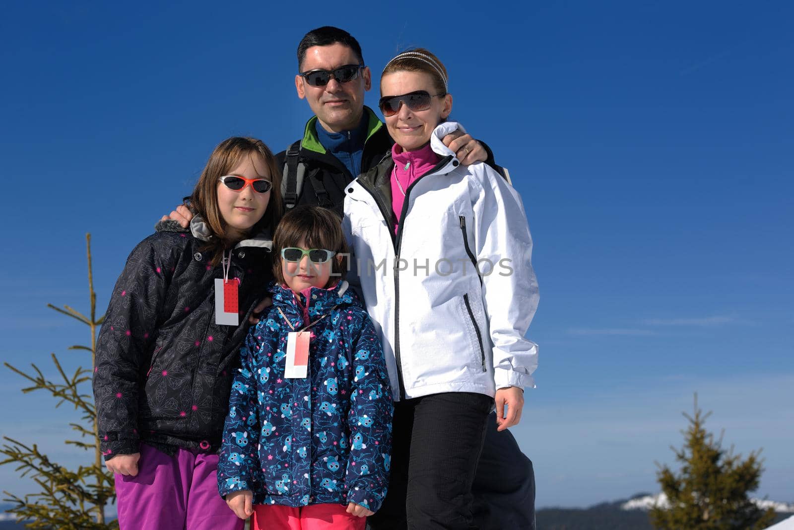 portrait of happy young family at beautiful winter sunny day with blue sky and snow in background