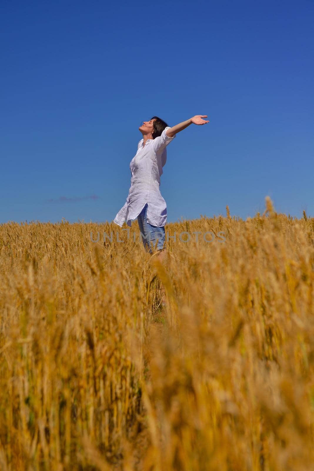 Young woman standing jumping and running  on a wheat field with blue sky the background at summer day representing healthy life and agriculture concept