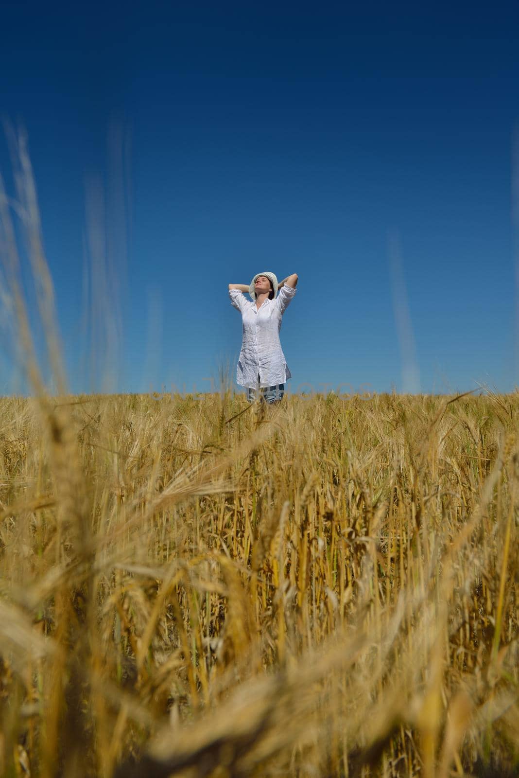 young woman in wheat field at summer by dotshock