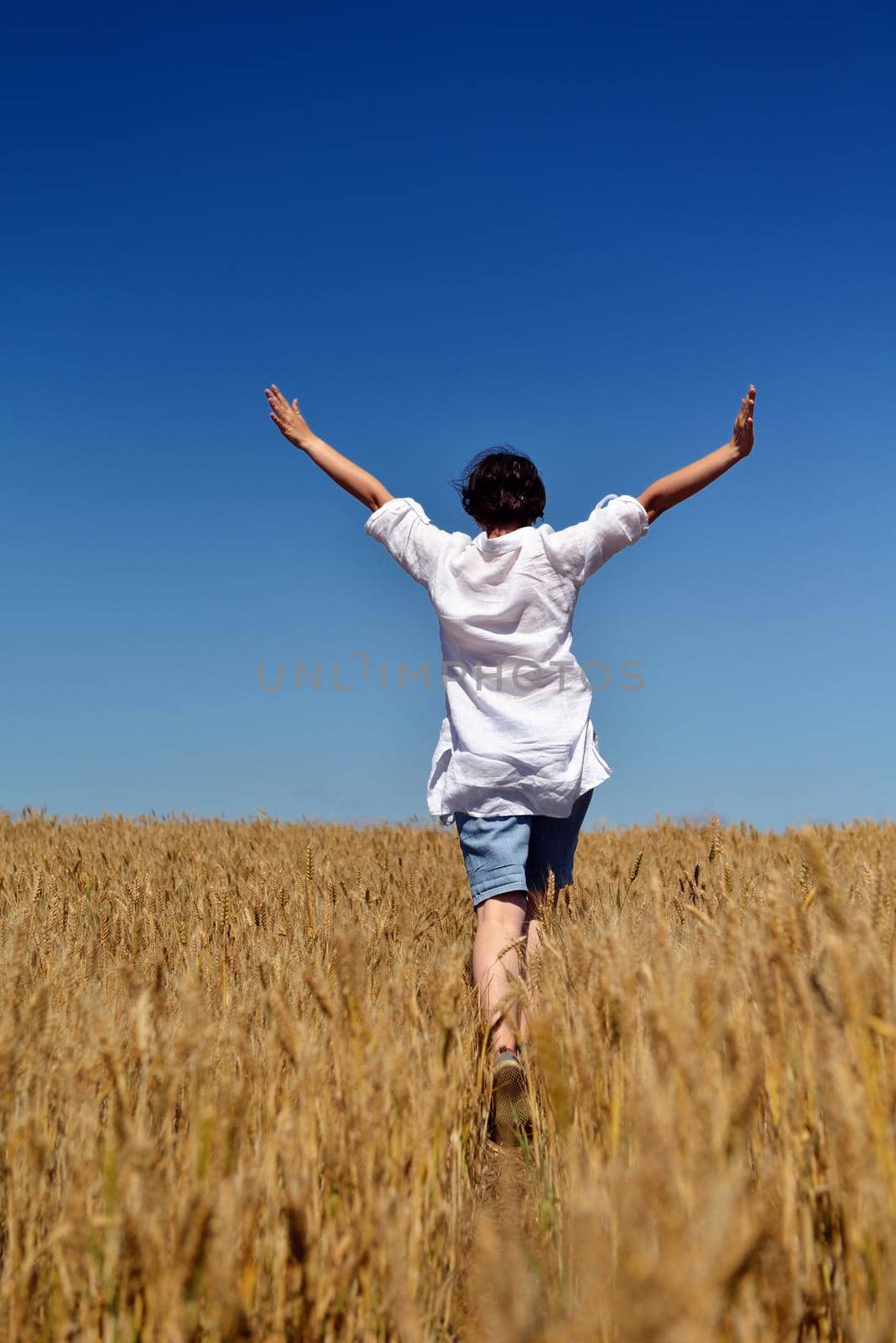 young woman in wheat field at summer by dotshock