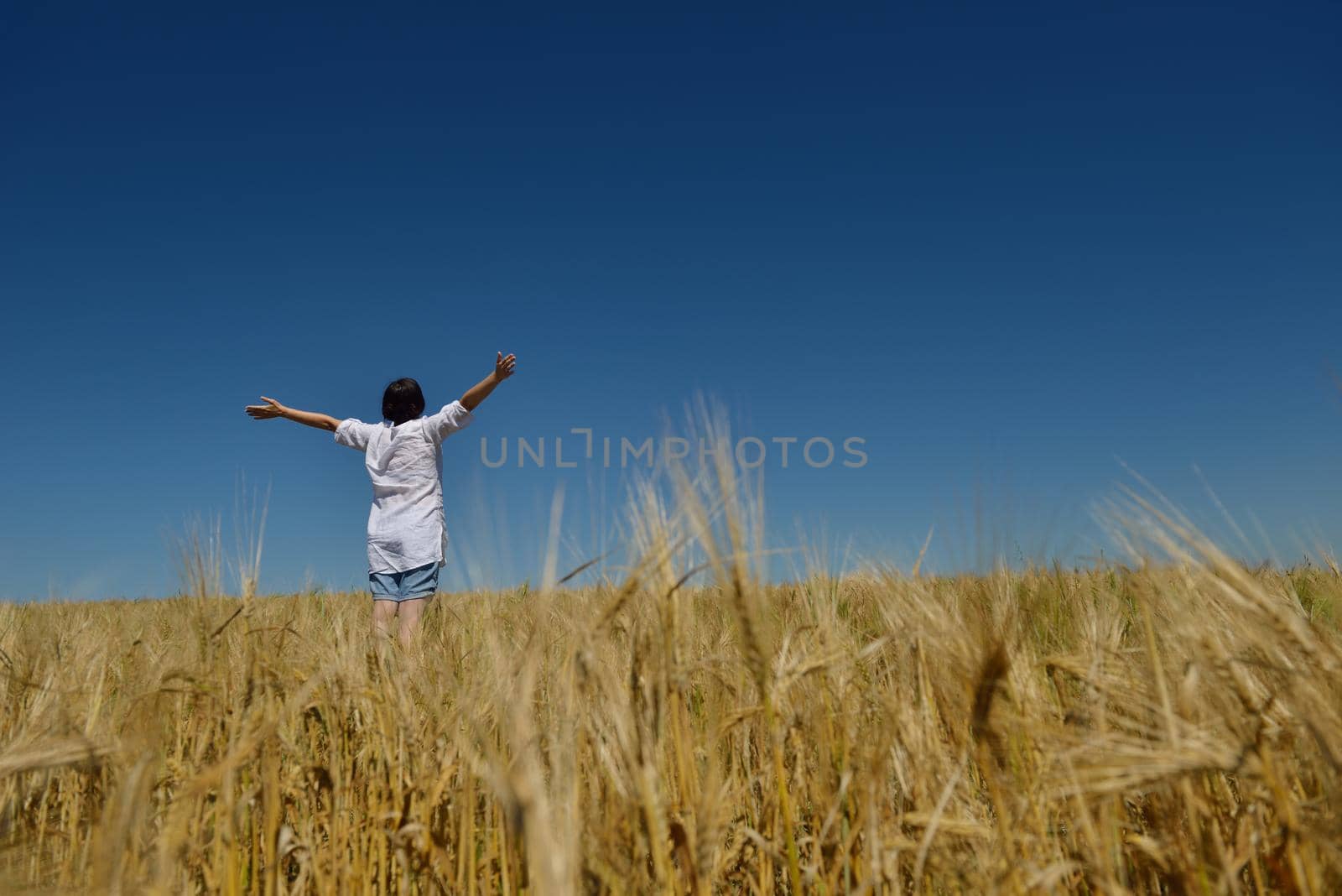 Young woman standing jumping and running  on a wheat field with blue sky the background at summer day representing healthy life and agriculture concept