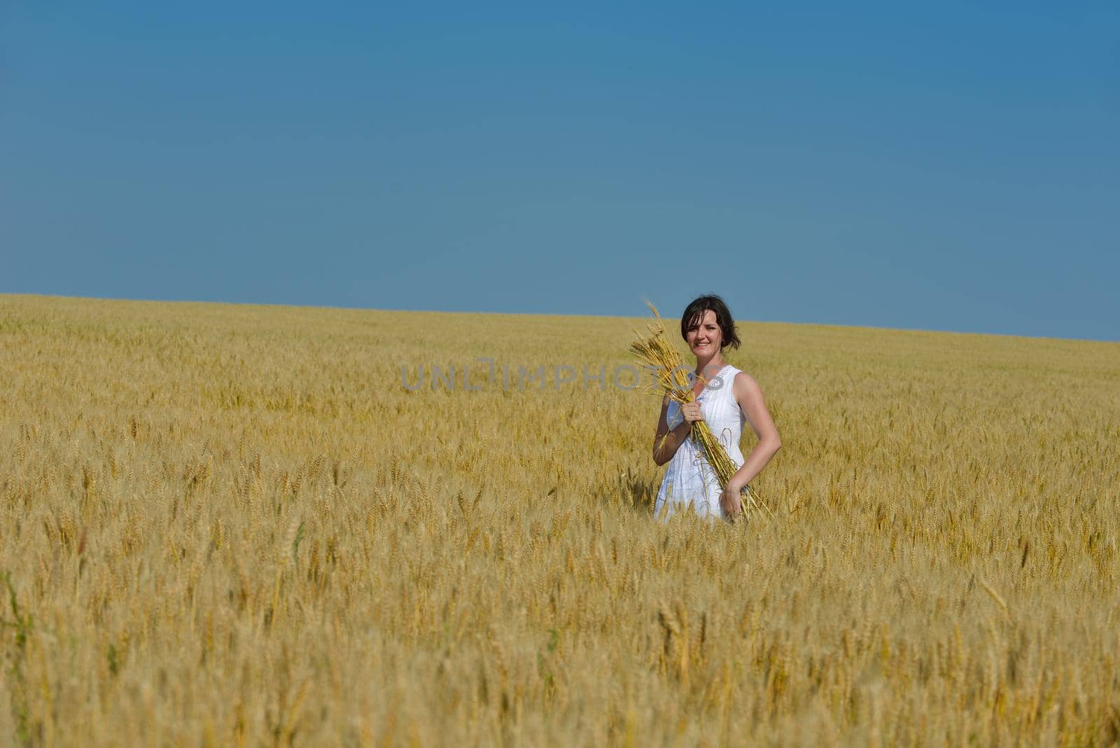 Young woman standing jumping and running  on a wheat field with blue sky the background at summer day representing healthy life and agriculture concept