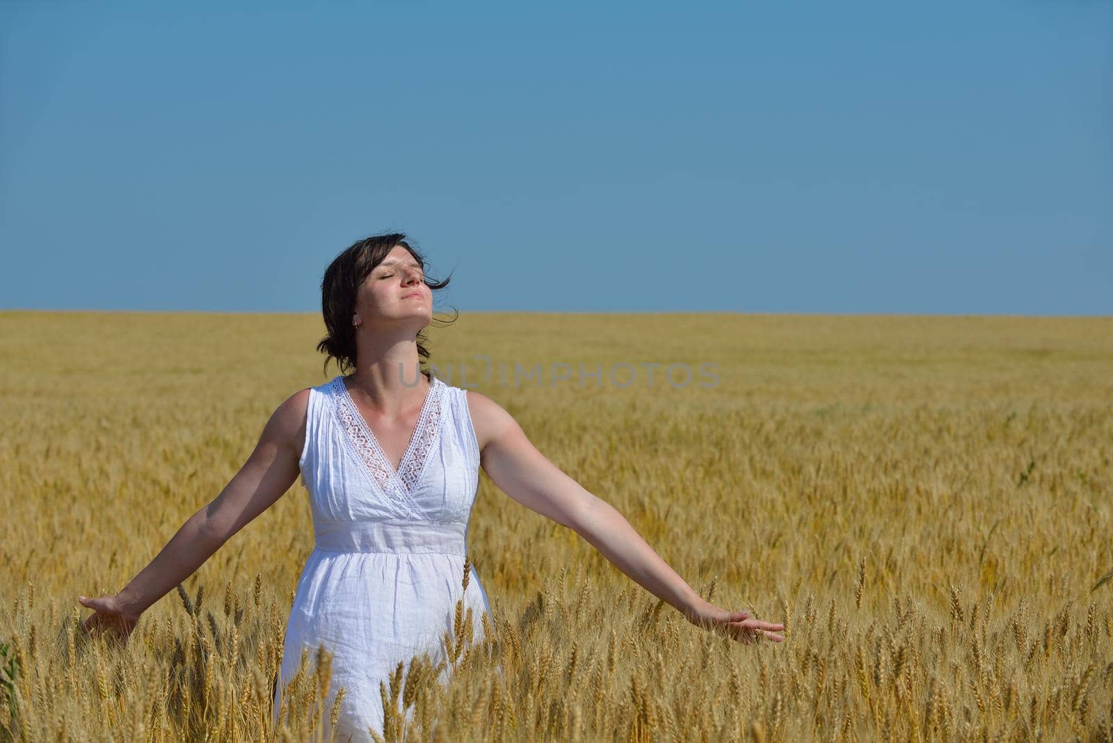 young woman in wheat field at summer by dotshock