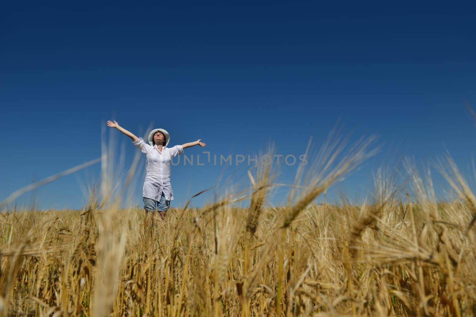 Young woman standing jumping and running  on a wheat field with blue sky the background at summer day representing healthy life and agriculture concept