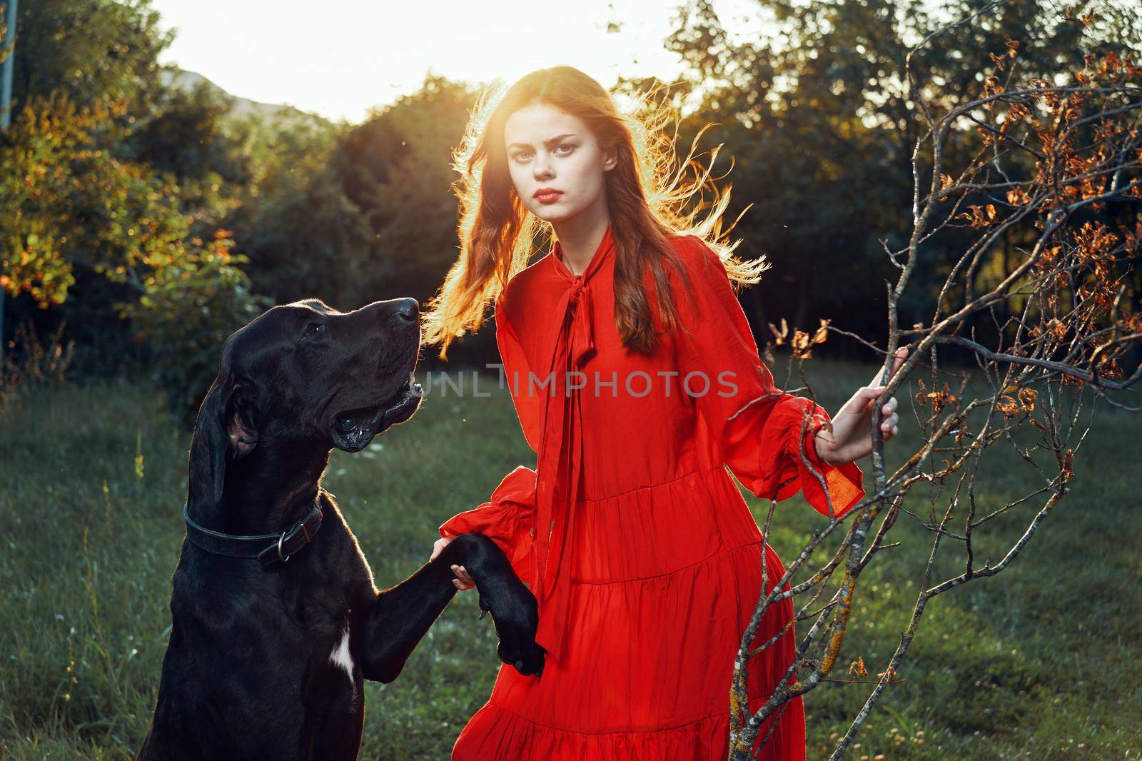cute woman in red dress playing with dog outdoors friendship. High quality photo