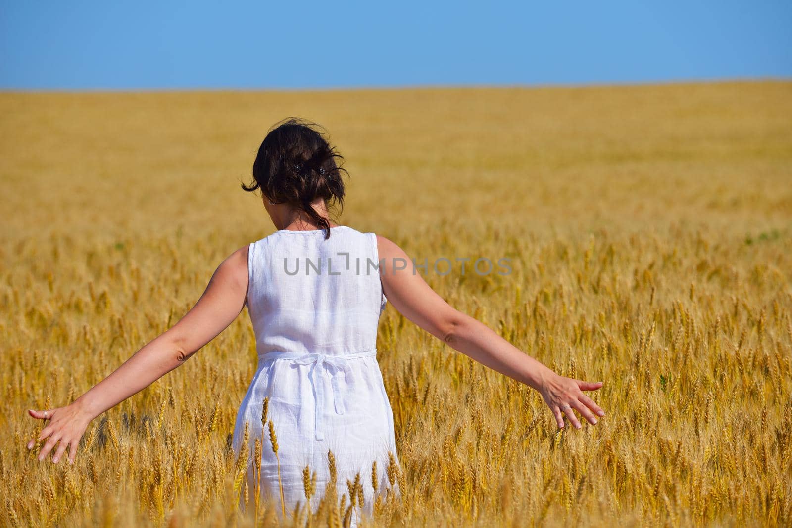 young woman in wheat field at summer by dotshock