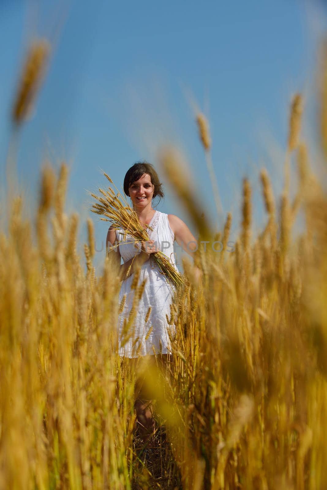 Young woman standing jumping and running  on a wheat field with blue sky in  background at summer day representing healthy life and agriculture concept