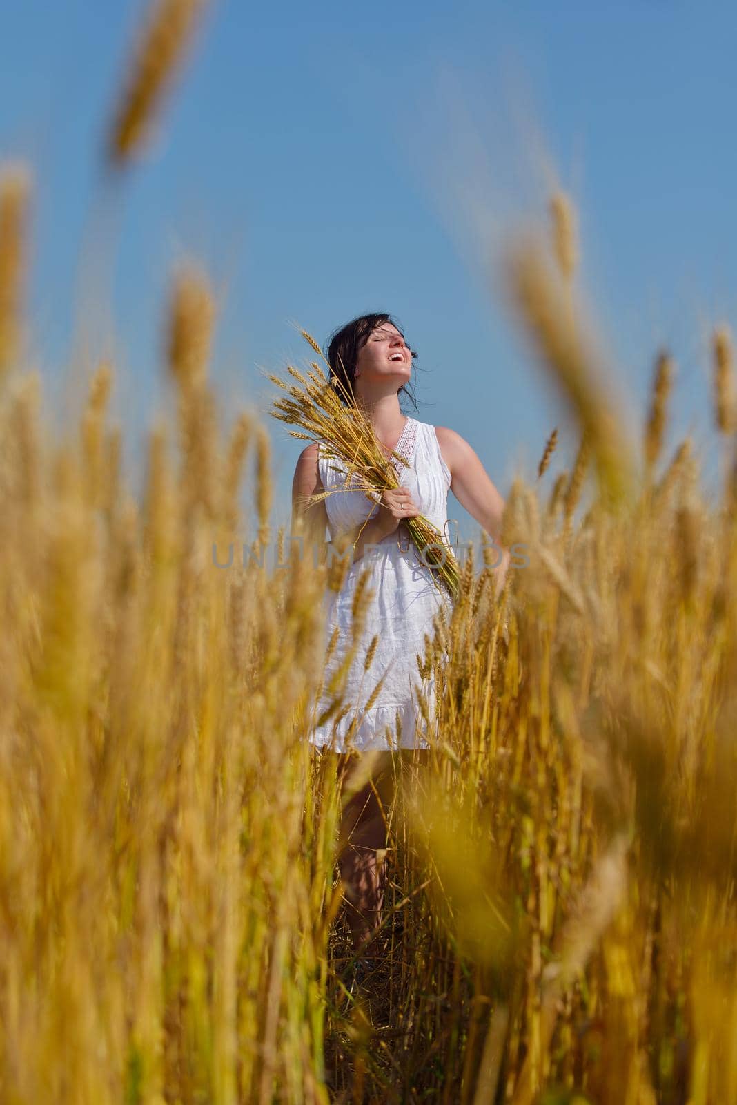 Young woman standing jumping and running  on a wheat field with blue sky in  background at summer day representing healthy life and agriculture concept