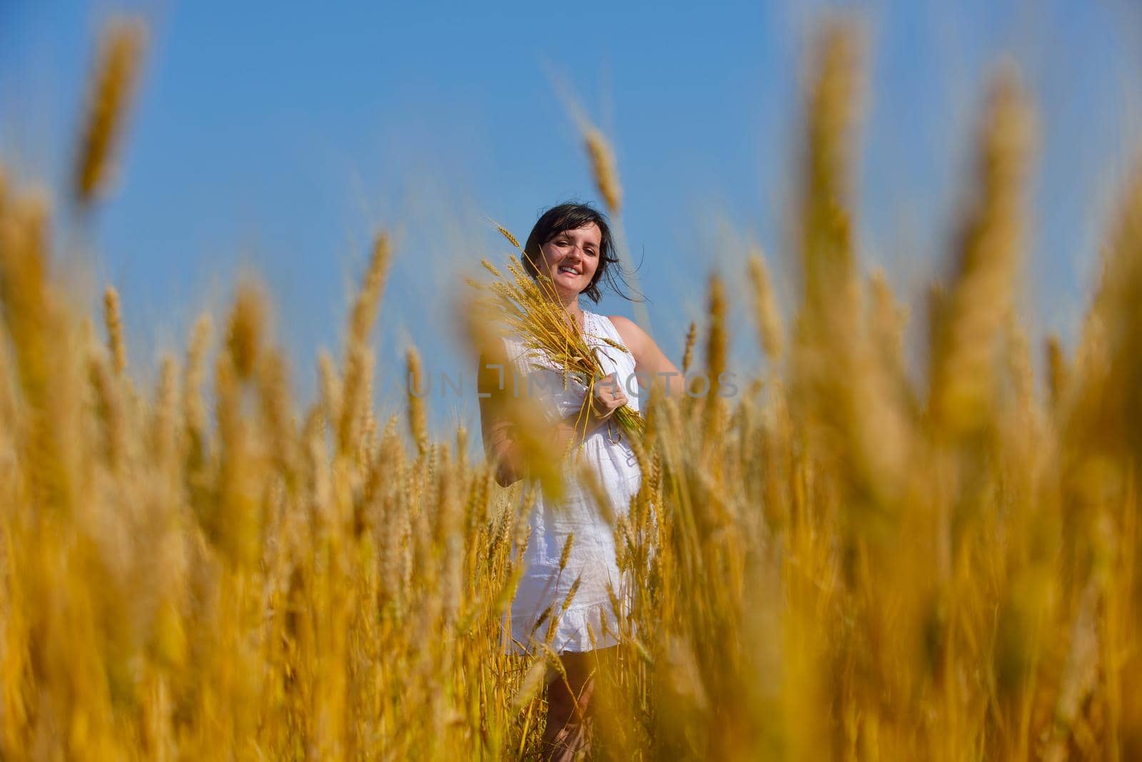 Young woman standing jumping and running  on a wheat field with blue sky the background at summer day representing healthy life and agriculture concept