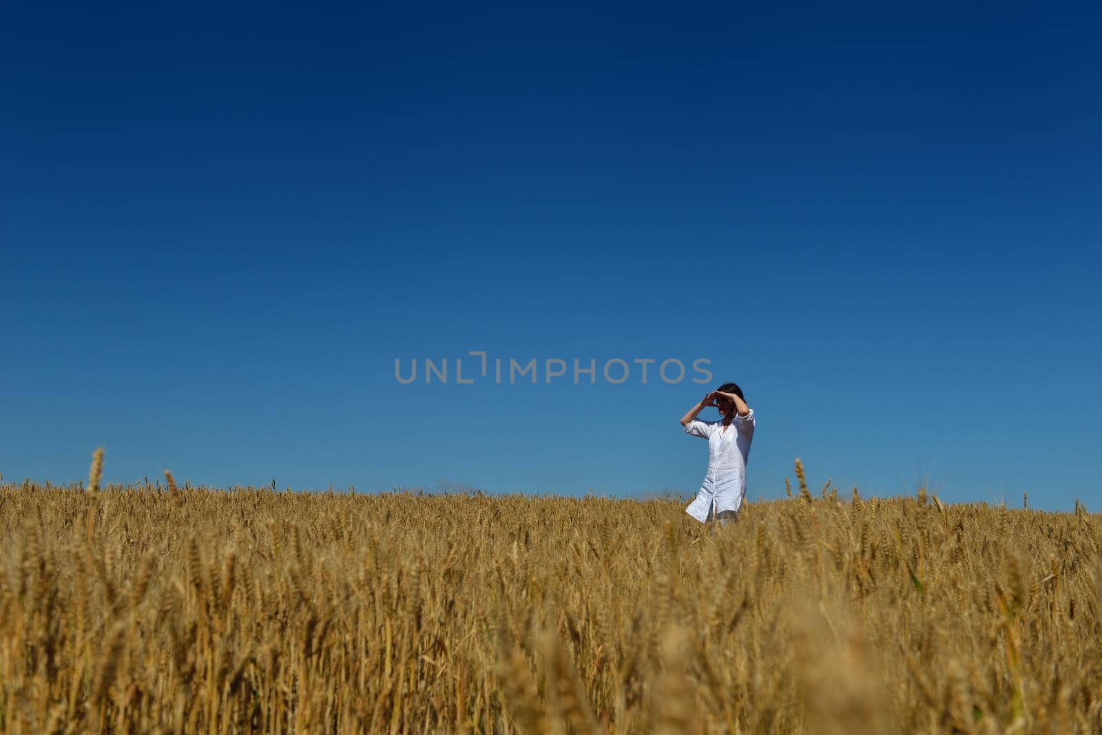 young woman in wheat field at summer by dotshock