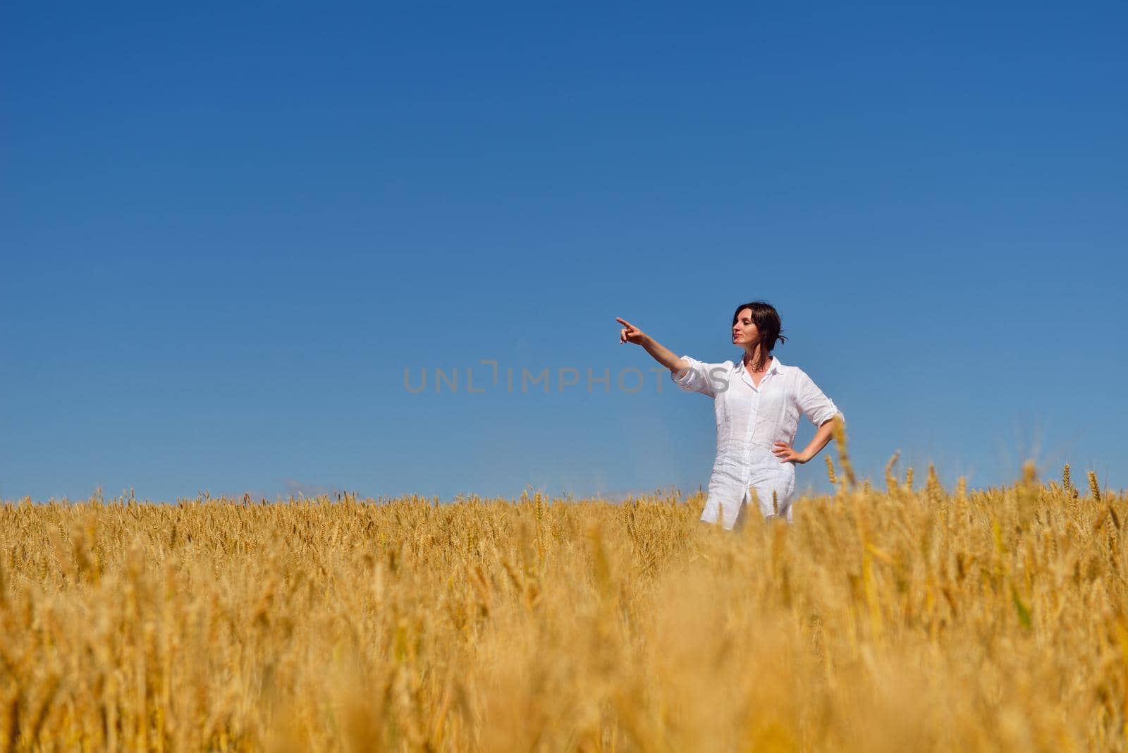 young woman in wheat field at summer by dotshock